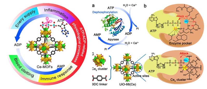 f67a8917-4d5a-4a0c-a36a-3361ec1f9c09