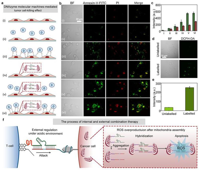 2626e1ef-da27-4eb1-aa8e-ac8d7b8ceebe