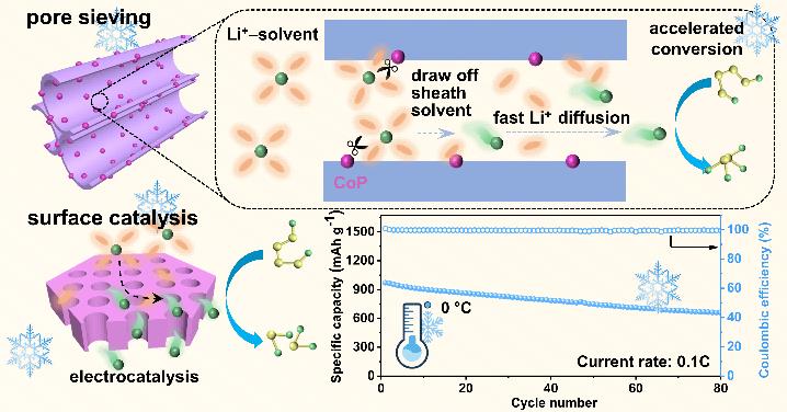 5d60cb1b-28b1-4eb1-aa41-e263958857fd