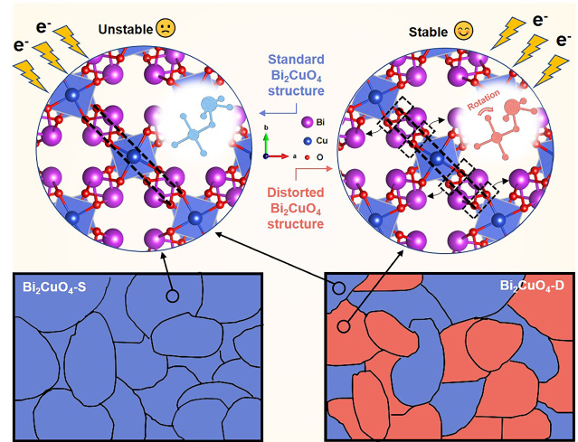 52c3b365-cc48-4610-a2c4-01065cbc15dd