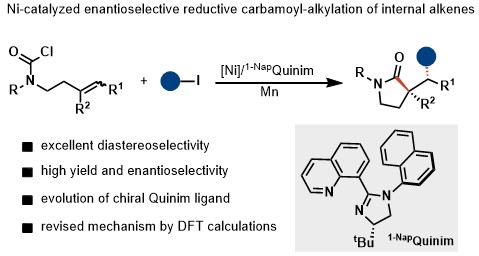 1c8bdb17-0f93-4d45-b7af-820172e32db4