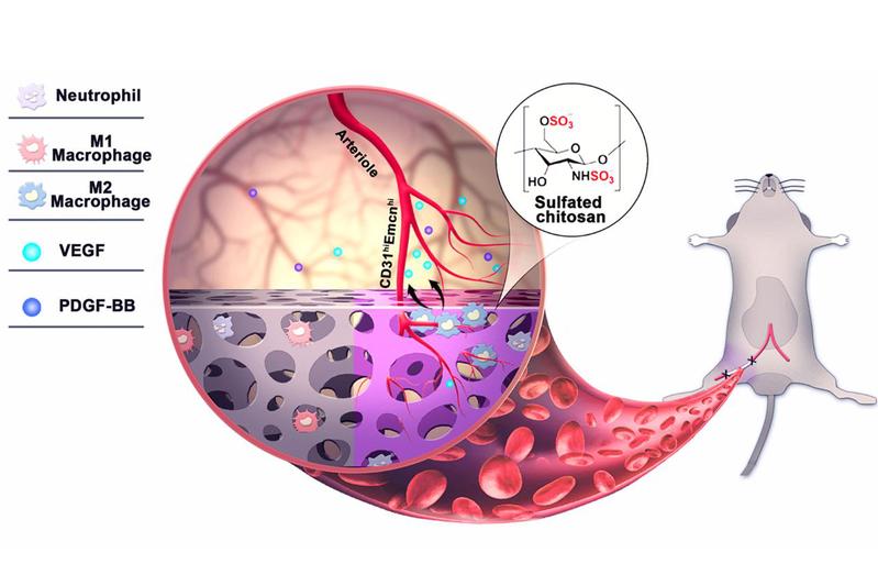 14e45fc0-d3eb-4b29-a629-06d735117940