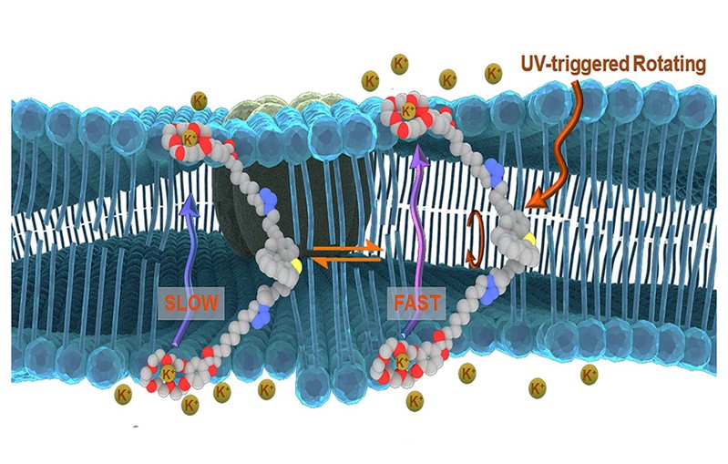 f94c10df-1dee-425a-9eb8-221423fe5afc f94c10df-1dee-425a-9eb8-221423fe5afc