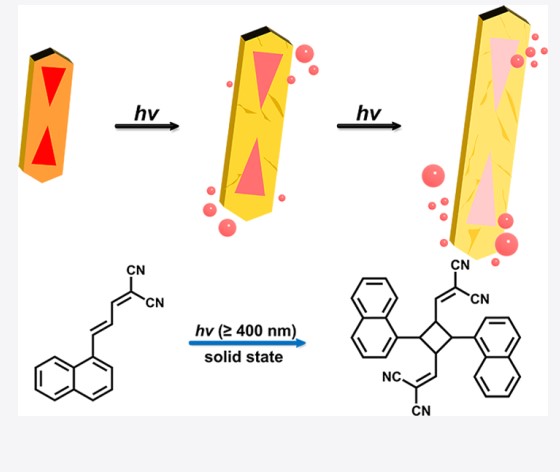5161d5b2-56f5-471e-9990-042ceff48d53