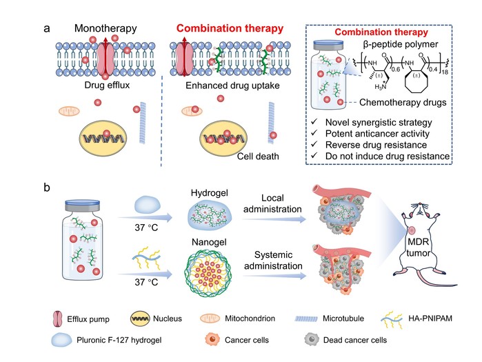 3e3aaa45-6a83-4932-95ac-636c9edcc355