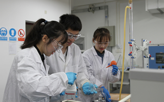 49ff8ba6-5c6d-4e9a-8786-cbd372558daa_s