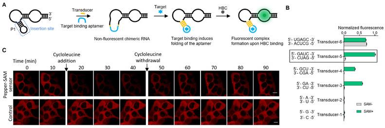 d84d3c15-8029-4eec-9527-ded3f0be5f00
