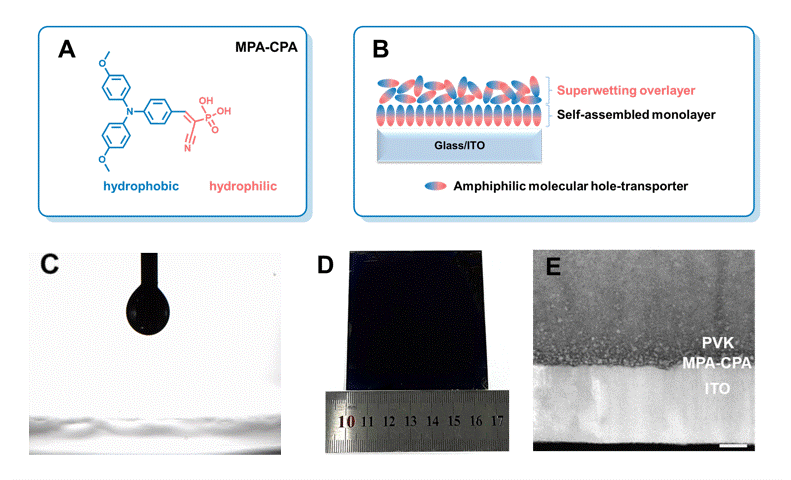 ae4a9271-80b4-47ff-86d8-b5a0aed4fe86 ae4a9271-80b4-47ff-86d8-b5a0aed4fe86