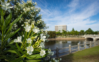 5bfe97e4-1e4b-498b-bf9c-066aed20ff16