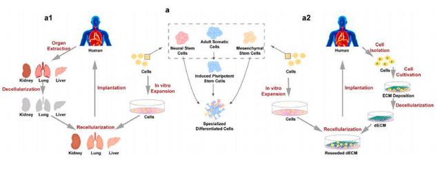 c7115f82-2e5e-4615-a28b-478a236f5dd1