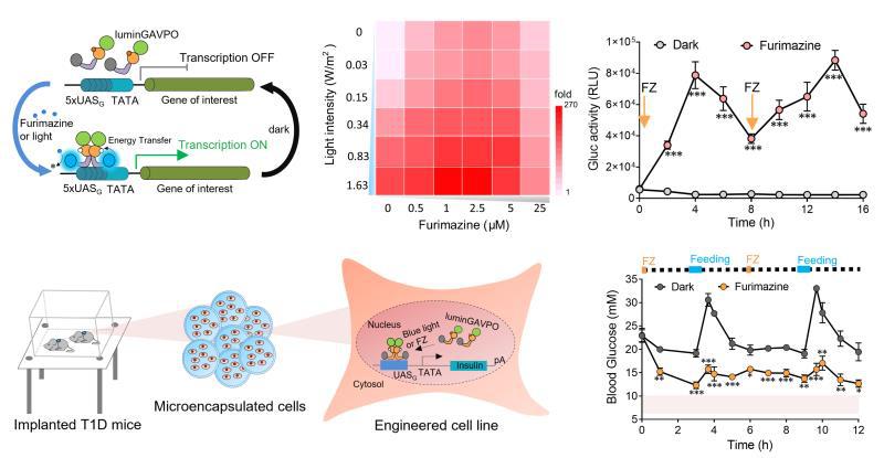 c74e3f98-59d7-4f80-aa22-f8d552ebc244