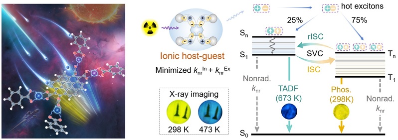 0346706d-294c-4995-b033-af74aa912a23