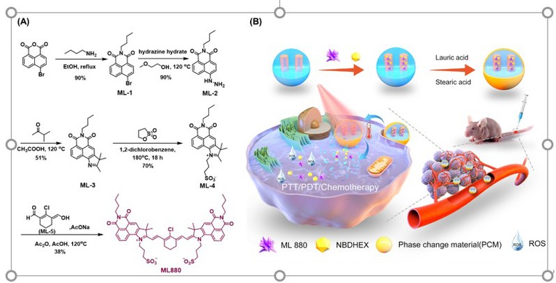 c0ddc70e-9c0c-43ab-bdcf-9df6735b1384