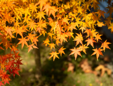 3028767b-cf9e-4c2e-bda8-967b18003e73