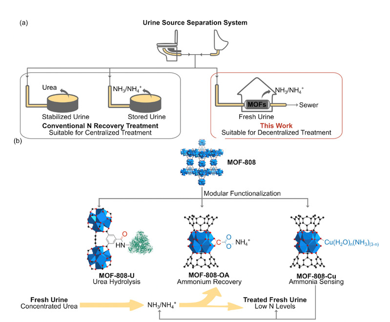 6509004c-8cf9-4315-a9c4-d9df6020daf8