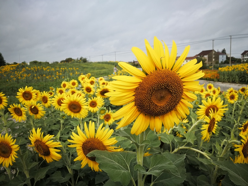 27276488-afe3-4b27-ac13-f5524165eef8