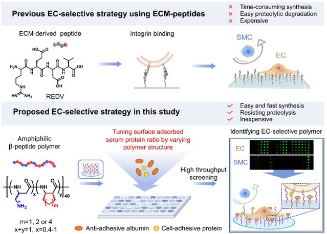 8f6cd137-7d15-424b-adda-212ef54641a4