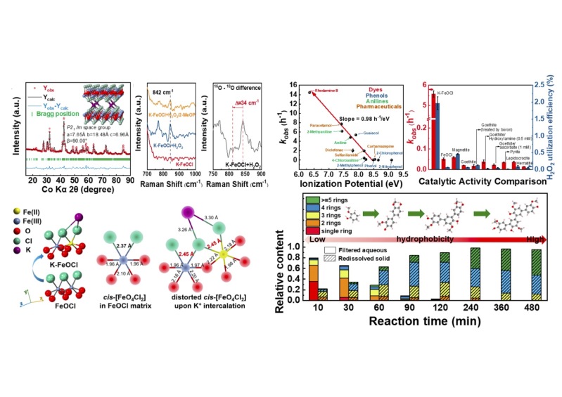 8e426bcb-0832-4117-875d-22a8b923ee79