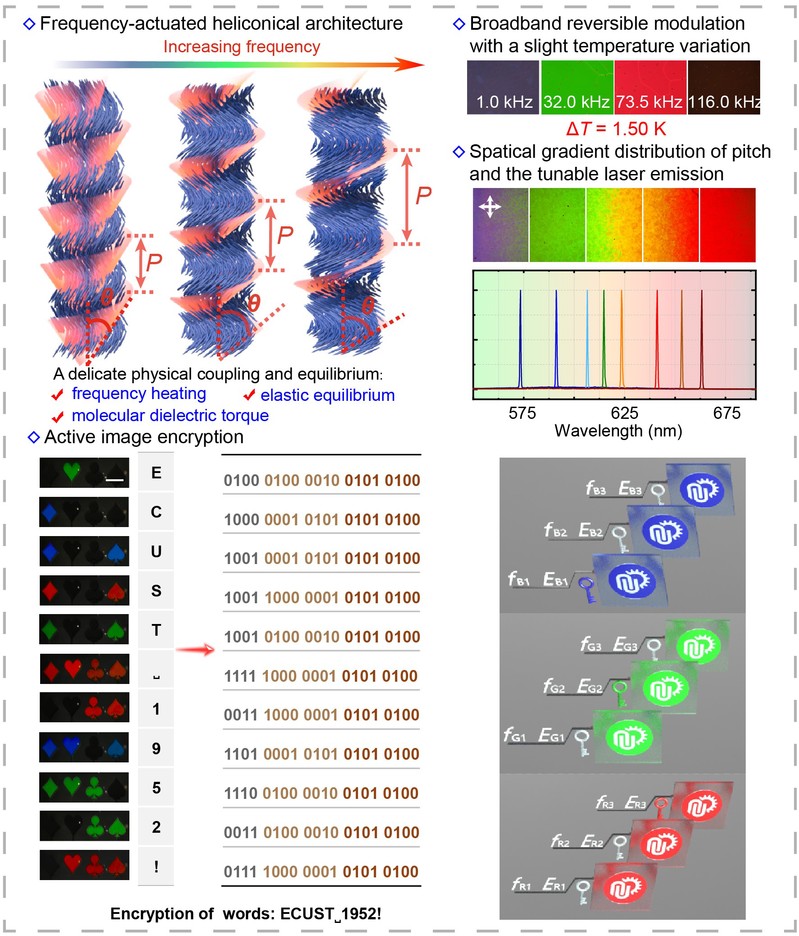 91da84d6-6d8b-4afa-98bc-576799c1118b 91da84d6-6d8b-4afa-98bc-576799c1118b