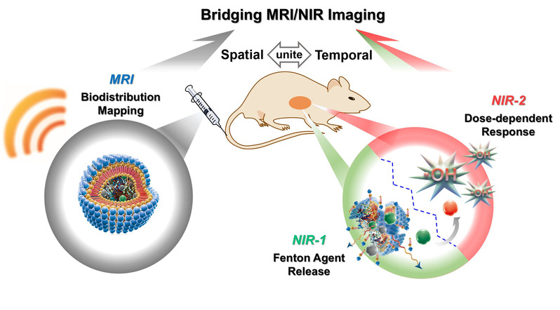 c4640c9d-b031-4ce4-86e7-91133d1460c3