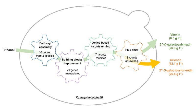 707478ce-a9e3-450e-8145-0642bebf3b7d