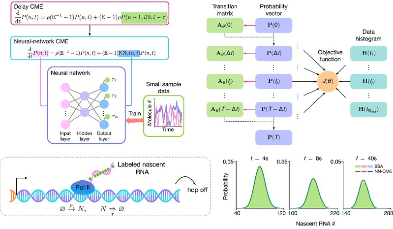 91246a73-d455-49d3-9a8f-17390454b9b7