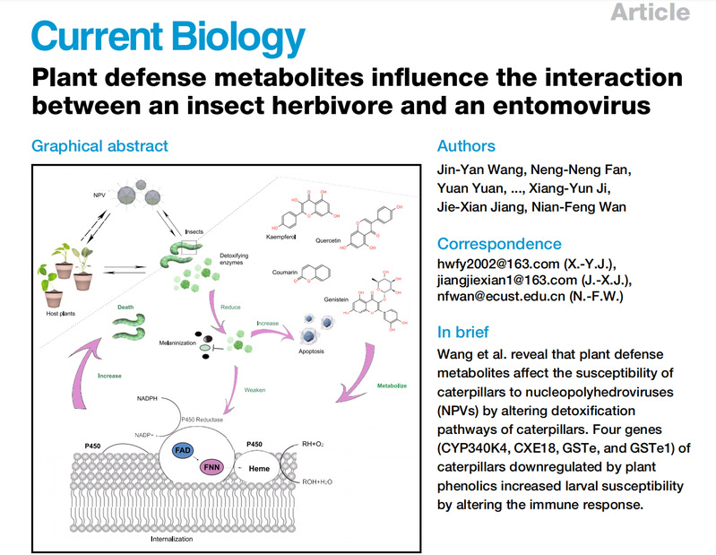 fde82d55-c36e-48c9-ac0f-f2b583f0be1b
