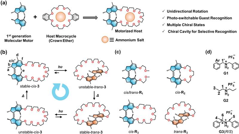 ecdf3620-4f96-4fec-91fe-bc6a48e815d3
