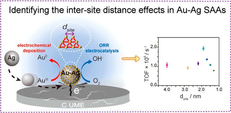 7e5bc2fc-96ac-402b-a086-39cf40000306
