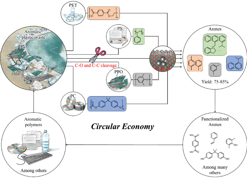 1bfcc6b5-6e5f-4e59-83b9-71eed1da100b