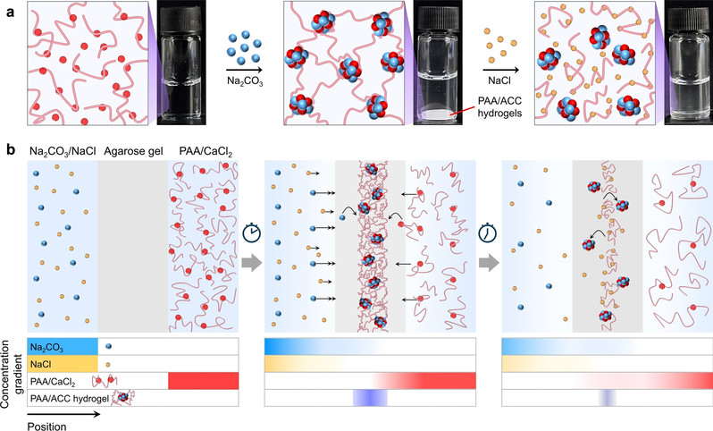 b5f4d13f-faf1-4fdd-87b4-2bbdc1256141