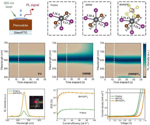 c05bef5d-0997-44bd-8d65-47e41c561b84