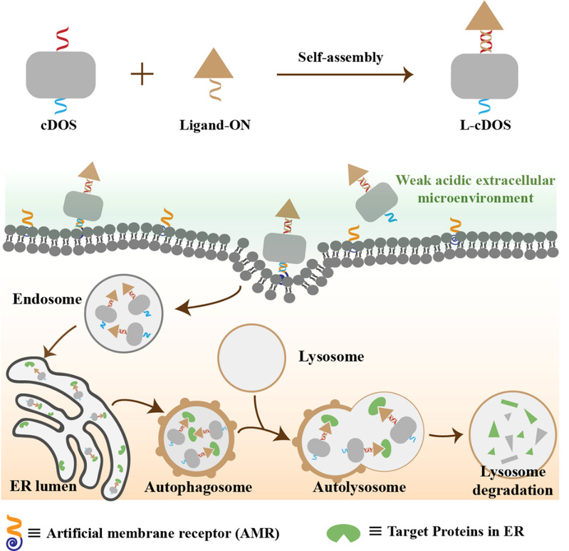 16e177ee-5acf-4162-8bda-b800ca4611a6