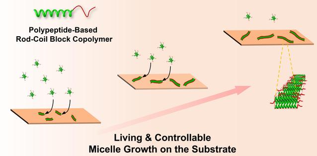 6d66222d-44b6-4a95-a6a7-0fc0f46fb121