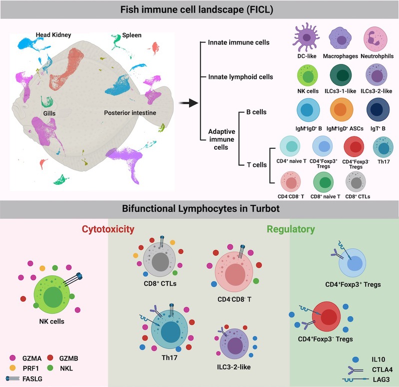 56fc2118-e85e-4950-9e7e-347375953607 56fc2118-e85e-4950-9e7e-347375953607