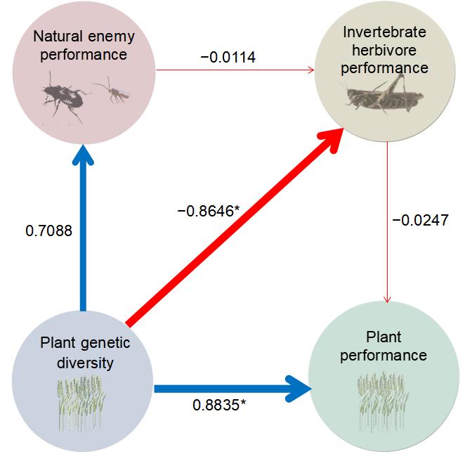 6b239cf2-4a30-421a-af83-f344479836a7