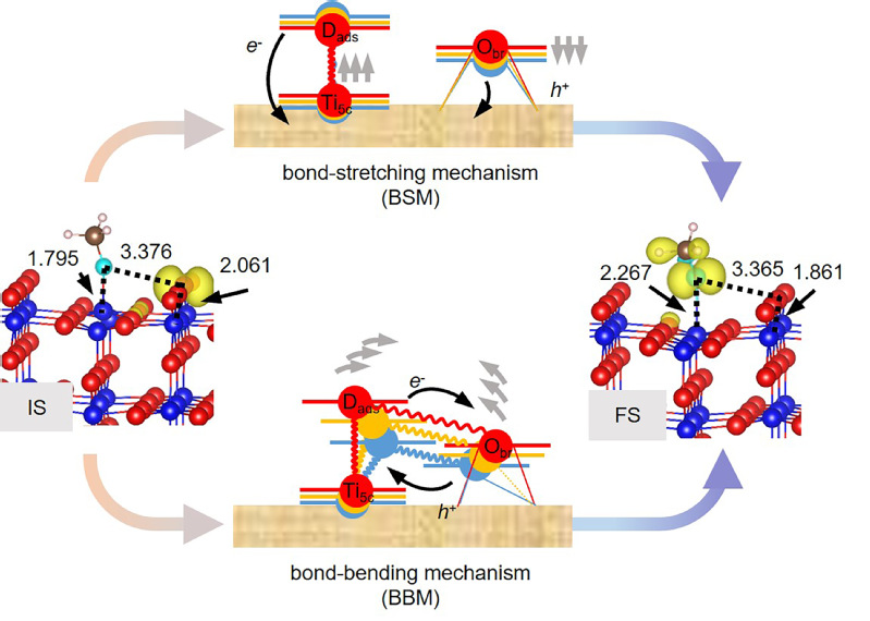 9365ccf0-34c6-4849-a986-434e5435430c