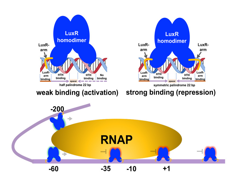 bbcfe18d-3779-4432-a9e5-9161e6eb2d36