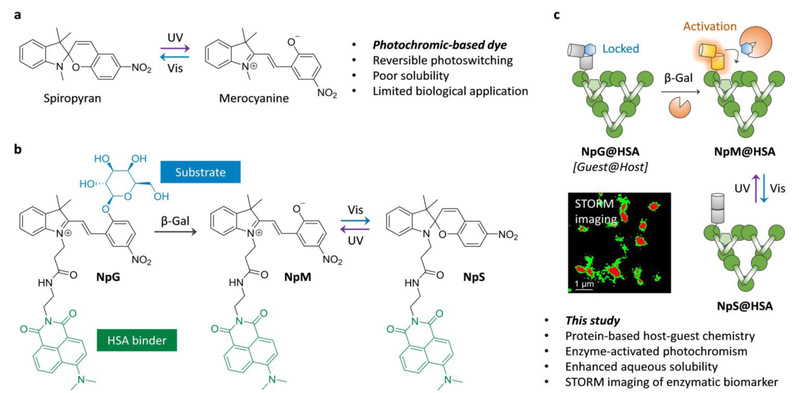 608cb4a9-9b1f-4aa5-a5da-f8eca97df866