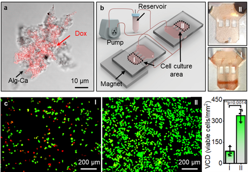 7b0e56d4-7162-4bca-9e02-2eb475e8cf07