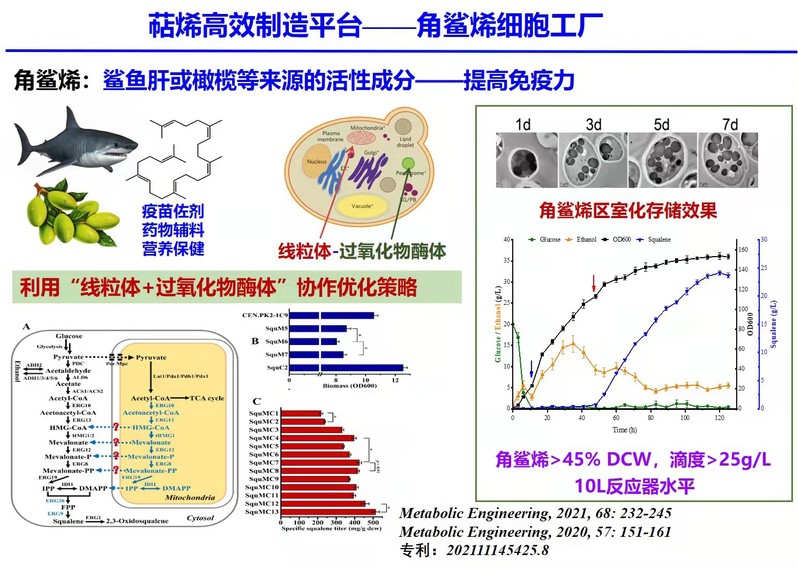 3fdf4c97-6b77-4be4-af3e-236358b912f4
