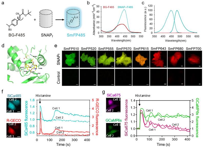 7aad7a1a-096b-420d-830b-c8288ba06887