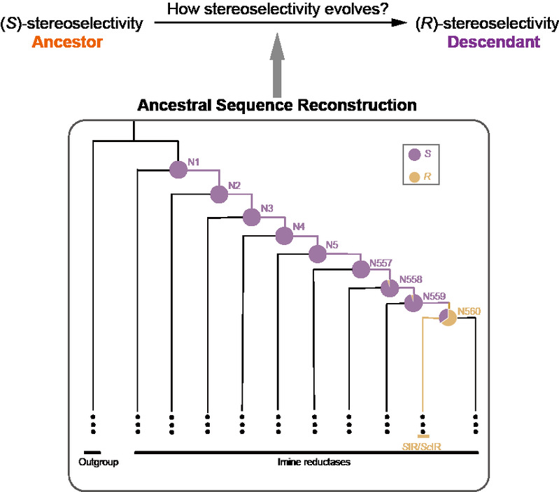 d232745f-84bf-409d-9337-1a68ae9ca3c0 d232745f-84bf-409d-9337-1a68ae9ca3c0