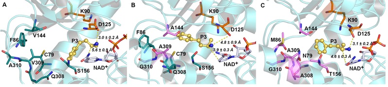 021c2371-f2bc-4056-af55-b401096c5b24