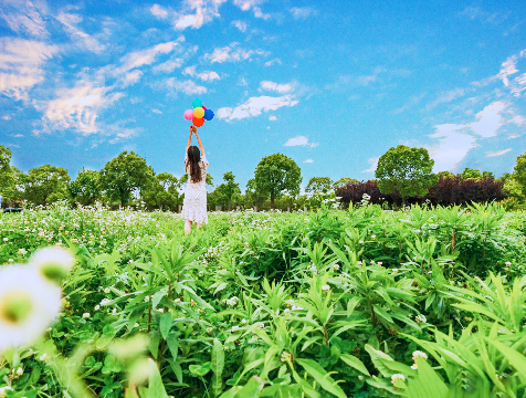 83efd1ee-1eb1-41d4-8b8b-dcf9f5688809