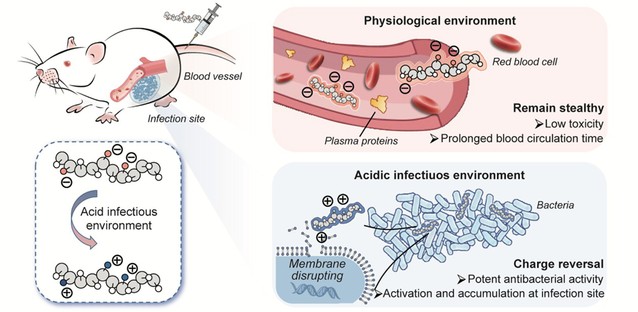 52d3745f-a380-4a81-abf5-75a9a615fb7b