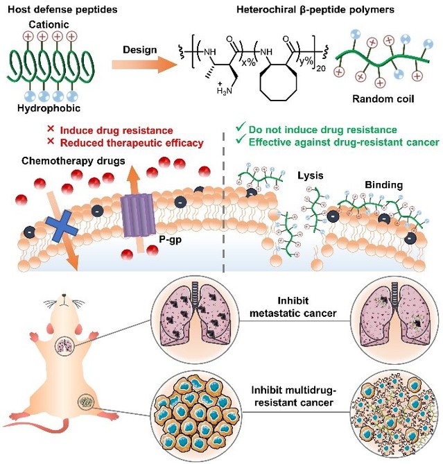 e8057afd-70f8-4775-b410-0eb2eb9aba56