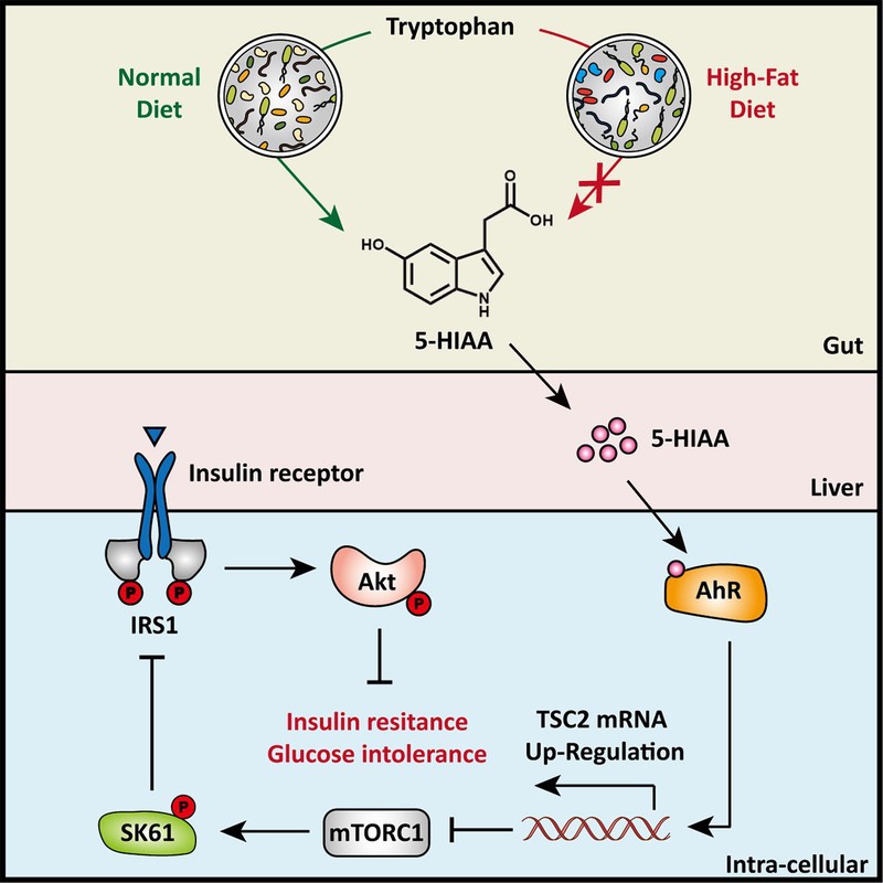 6b738ecc-96ed-4d18-b768-90797eeaf3f0
