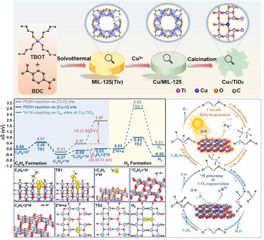 0736c7c2-34ba-430c-80fc-a984c913d722