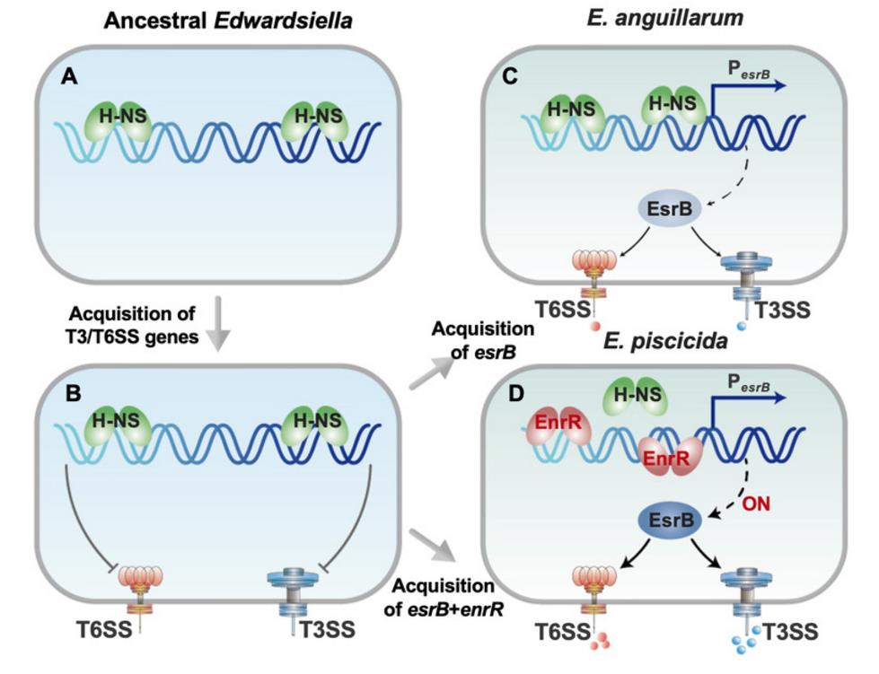 282a28ad-071a-46e0-a39c-d630d9c819b2